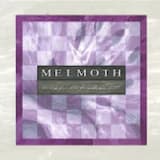 Through the Eyes of the Spy