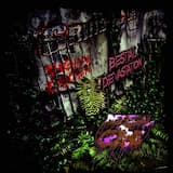 Ureaplasma Urealyticum