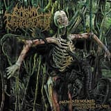 Ulcerative Helminthemesis