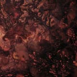 Challenger's Lecture