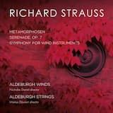 Symphony for Wind Instruments, TrV 291 "Fröhliche Werkstatt": II. Andantino, sehr gemächlich