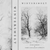 Flakes of Snow Fall Silent as Ash