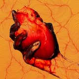 Modern Love Is a Shame