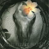 이너비리스너비