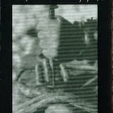 Mehr Nägel für das Schwein