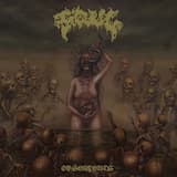 Necrotizing Fasciitis Excrema