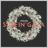 Surfin' Gaza