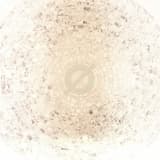 El Fin Del Neandertal (Ay, La Tierra)