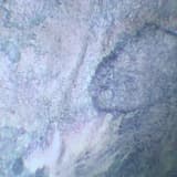 hսւըսոօբչչռօձ