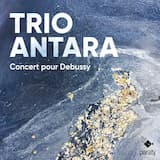 …à un grand oiseau impatient de la lumière…: I. Premier mouvement