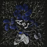 魔界へのナビゲーション...ラジオCD「魔人放送ハルマゲゾーン」