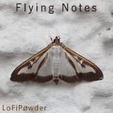 Flying Notes