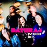 Going Back to Hoonsville