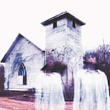 Cats Go Car Watching