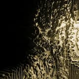 Night in Day Forever