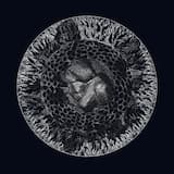 Una presenza,una doppia entità nascosta nell'ombra: tra le fenditure del legno risiedeva il riflesso del vero volto