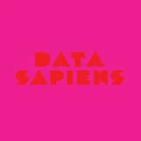 Data Sapiens (Radio Slave remix)