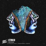 Letting Go (Franky Rizardo remix)