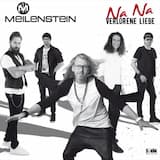 Komm mit mir (Album Version)