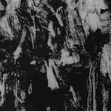 Naturalisation Part III