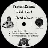 Hype the Funk (Protean Sound Edit)