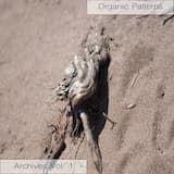 Another Rainy Day in Denmark