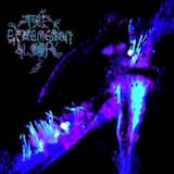 Acetoxyhexorchid I (Cluster Phase)