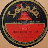 Uti yttersta skären