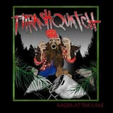 70–80% of Sightings Are Real