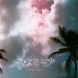 Driving through the jungle