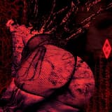 Transformative Suffering