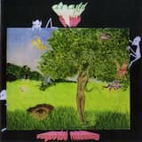 Robert Bruce's Spider