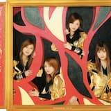 好きすぎて バカみたい (CRAZY J-G JAZZ リミックス)