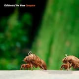 And Then the Rain Came