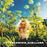 Hvad mere er der egentlig at sige