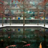 Tears of Field Trips