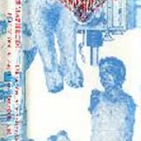 Dysfunkce řitního svěrače