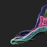 Bomba (Versión Club)