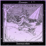 Snowswept Solitude I