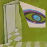 Мёртвые птицы