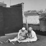 Celine Dion and the Seven Peruvian Milkshakes