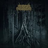 Ancient Woods Poisoned Black