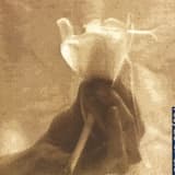 Life at Stormy Point (P.S.)