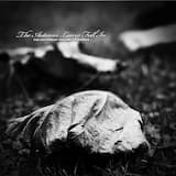 Like Clouds Over Skyscrapers