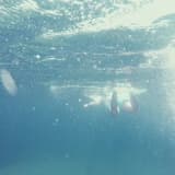 Focused on How It Ends