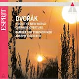 Symphony no. 9 in E minor, op. 95 "From the New World": I. Adagio - Allegro molto