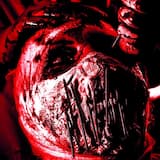 Hammer of the Heretics