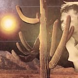 Flirting With Thieves