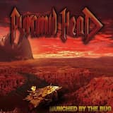 You’ve Never Been Told To