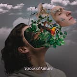 Singing of the Birds